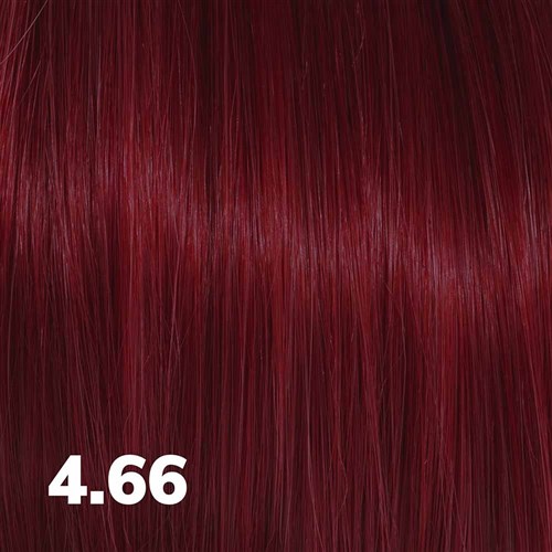 Fanola Color Hair Colour 4.66 Chestnut Intense Red