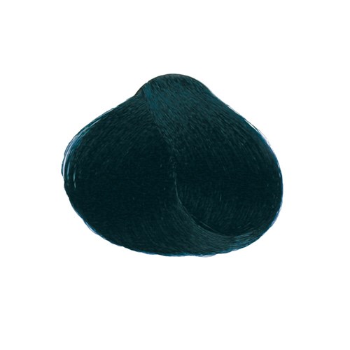 Echos Color Hair Colour 1.10 Ash Blue Black